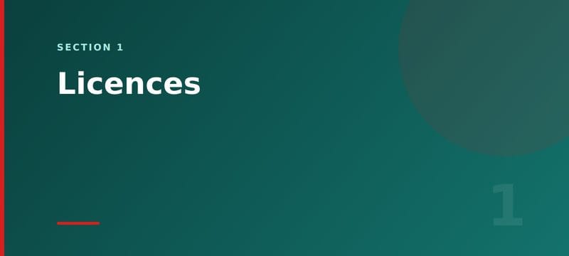 Section card: Business Central licence prices