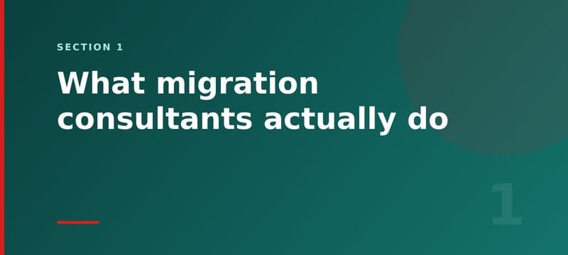 What migration consultants actually do