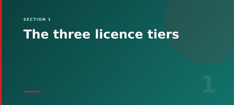 Section 1 card: the three Business Central licence tiers