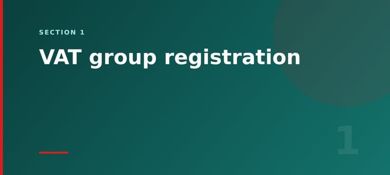 Section card: what VAT group registration means